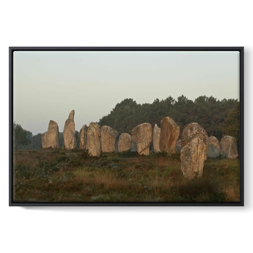 Alignements de Kermario, grands menhirs (framed canvas)