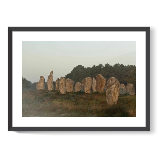 Alignements de Kermario, grands menhirs (framed art prints)