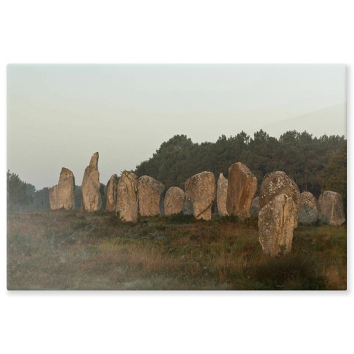 Alignements de Kermario, grands menhirs (panneaux aluminium)