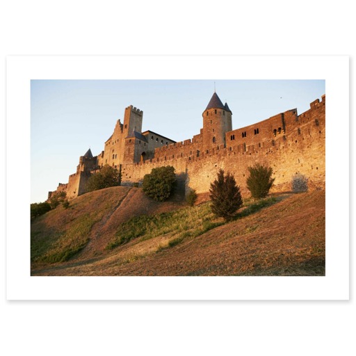 Cité de Carcassonne, front ouest, tour de la Justice et château comtal (canvas without frame)