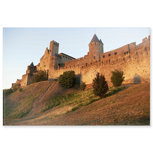 Cité de Carcassonne, front ouest, tour de la Justice et château comtal (acrylic panels)