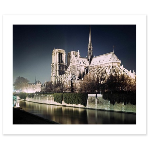 Cathédrale Notre-Dame de Paris, abside et façade sud (canvas without frame)