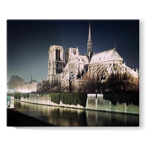 Cathédrale Notre-Dame de Paris, abside et façade sud (stretched canvas)