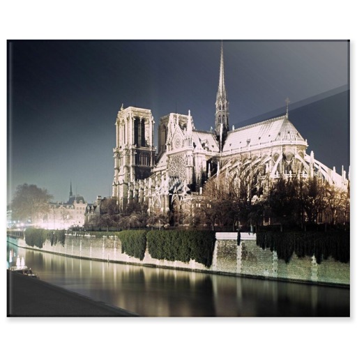 Cathédrale Notre-Dame de Paris, abside et façade sud (panneaux acryliques)