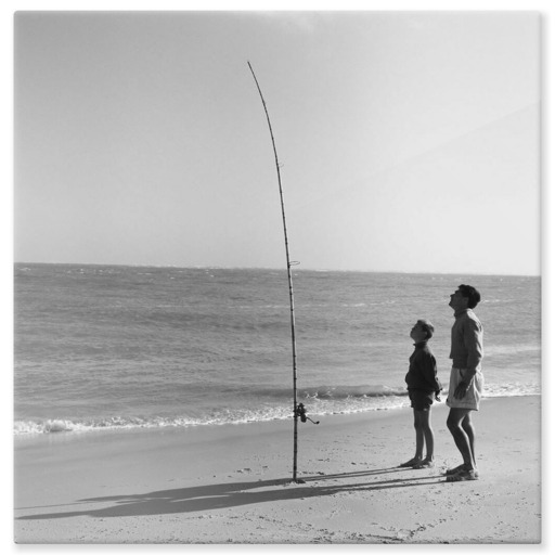 La patience des pêcheurs (aluminium panels)