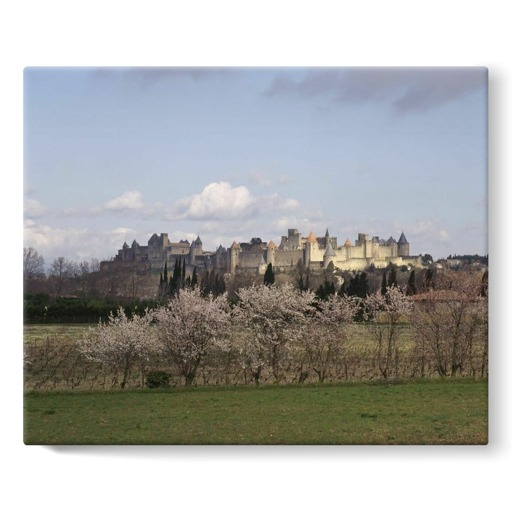 Cité de Carcassonne, front occidental (stretched canvas)