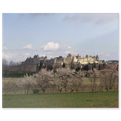 Cité de Carcassonne, front occidental (panneaux acryliques)