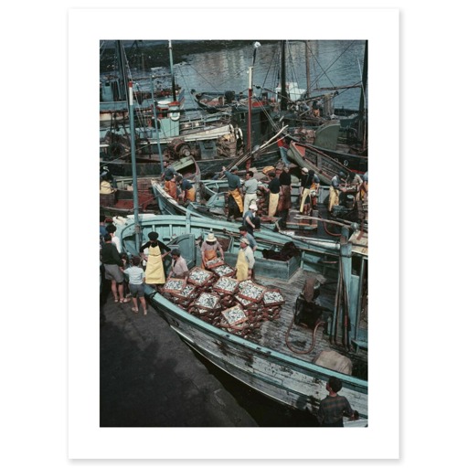 Retour de la pêche à la sardine sur le port de Concarneau (art prints)