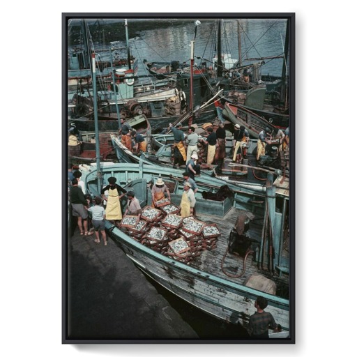 Retour de la pêche à la sardine sur le port de Concarneau (framed canvas)