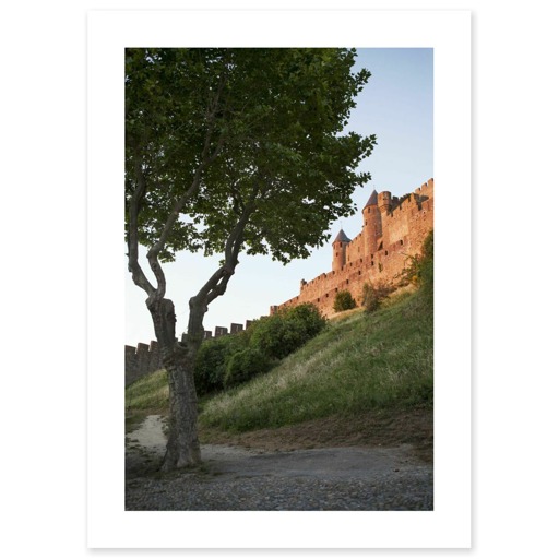 Cité de Carcassonne, front ouest (canvas without frame)