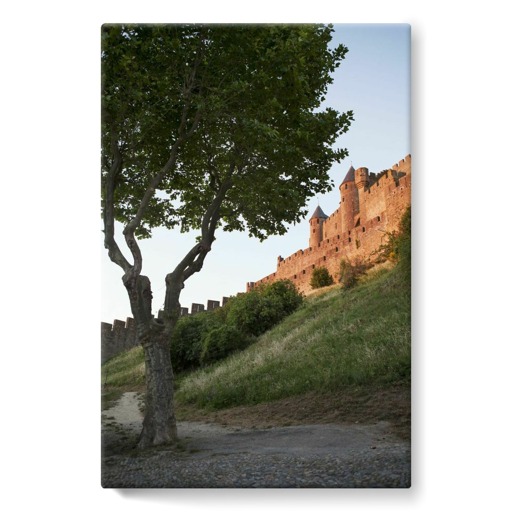 Cité de Carcassonne, front ouest (stretched canvas)