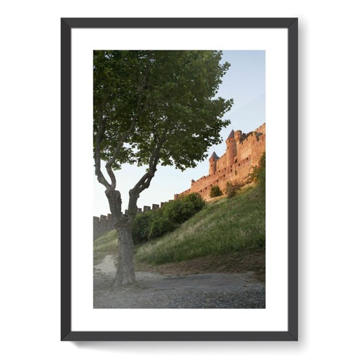 Cité de Carcassonne, front ouest (framed art prints)