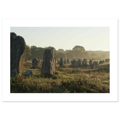 Alignements de Kerlescan, depuis l'ouest, dans la brume du matin (toiles sans cadre)