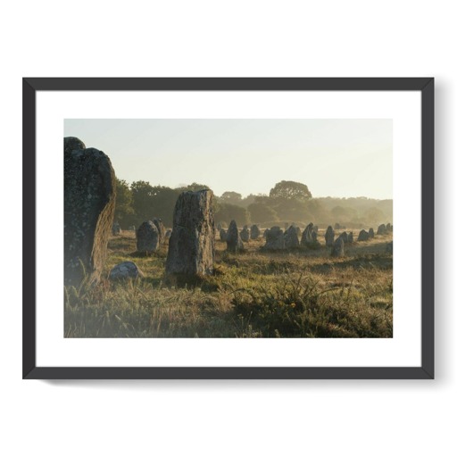 Alignements de Kerlescan, depuis l'ouest, dans la brume du matin (framed art prints)