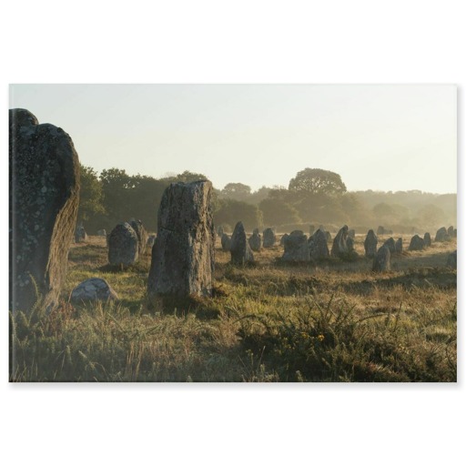 Alignements de Kerlescan, depuis l'ouest, dans la brume du matin (panneaux acryliques)