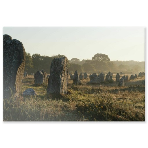 Alignements de Kerlescan, depuis l'ouest, dans la brume du matin (aluminium panels)