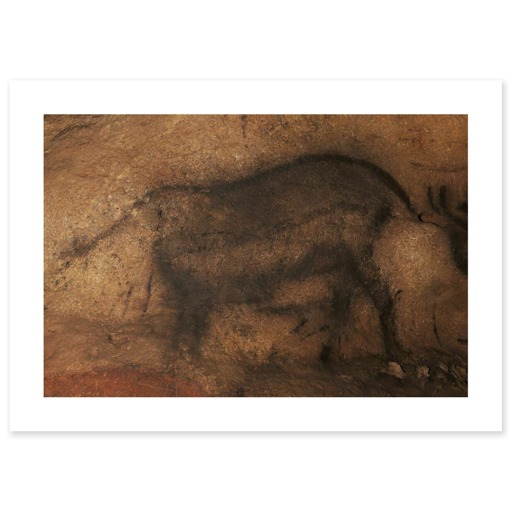 Grotte de font-de-Gaume, renne (canvas without frame)