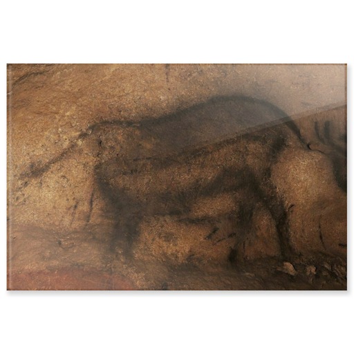Grotte de font-de-Gaume, renne (acrylic panels)