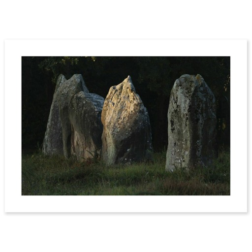 Alignements de Kerlescan, quelques grands menhirs se détachant sur la végégation (art prints)