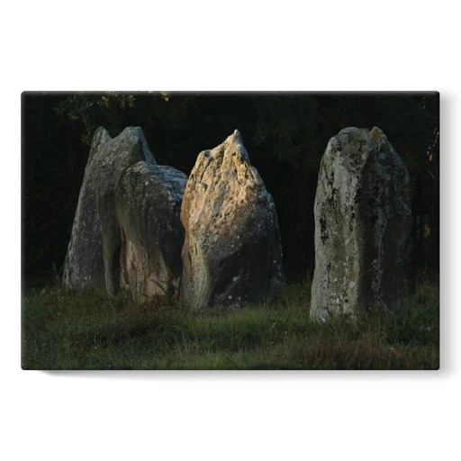 Alignements de Kerlescan, quelques grands menhirs se détachant sur la végégation (stretched canvas)