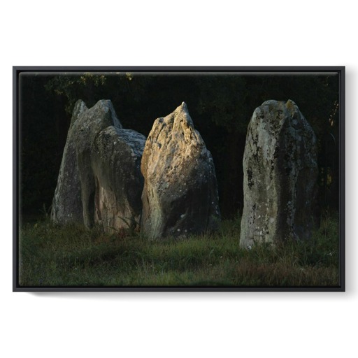 Alignements de Kerlescan, quelques grands menhirs se détachant sur la végégation (framed canvas)