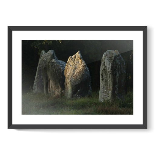 Alignements de Kerlescan, quelques grands menhirs se détachant sur la végégation (framed art prints)