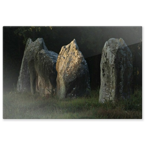 Alignements de Kerlescan, quelques grands menhirs se détachant sur la végégation (aluminium panels)