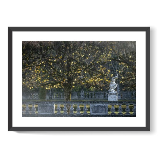 Château de Bouges, parterre nord et le groupe sculpté d'Hercule et Antée ou Hercule et Cacus (framed art prints)