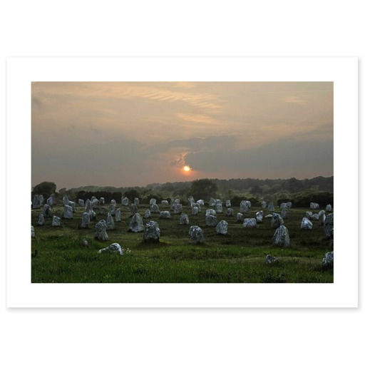 Alignements du Ménec au crépuscule (art prints)