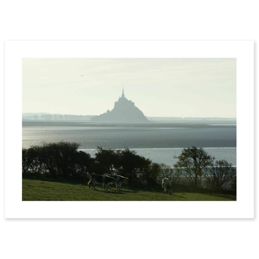 Silhouette du Mont-Saint-Michel vue du nord, près de la commune de Genêts (canvas without frame)