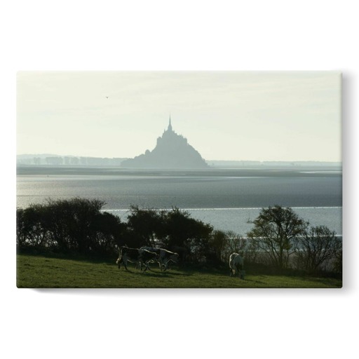 Silhouette du Mont-Saint-Michel vue du nord, près de la commune de Genêts (stretched canvas)