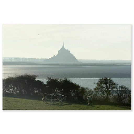 Silhouette du Mont-Saint-Michel vue du nord, près de la commune de Genêts (panneaux acryliques)