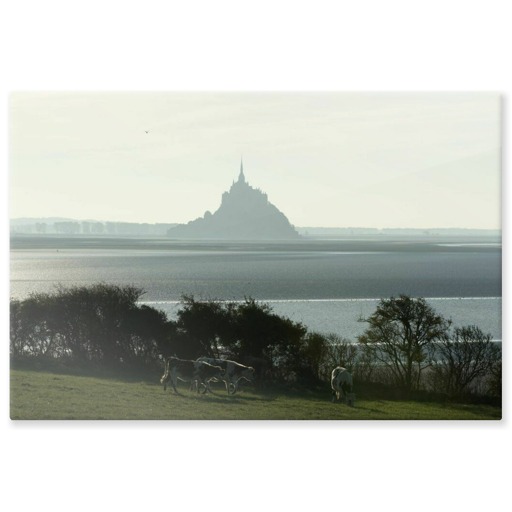 Silhouette du Mont-Saint-Michel vue du nord, près de la commune de Genêts (aluminium panels)