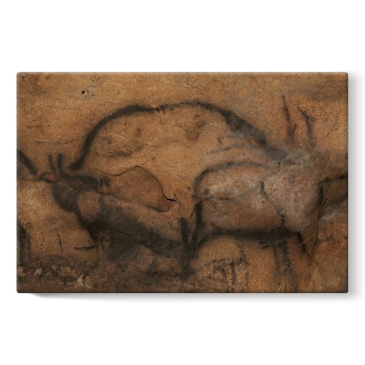 Grotte de Font-de-Gaume, bison (stretched canvas)