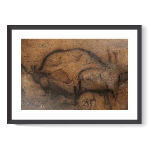 Grotte de Font-de-Gaume, bison (framed art prints)