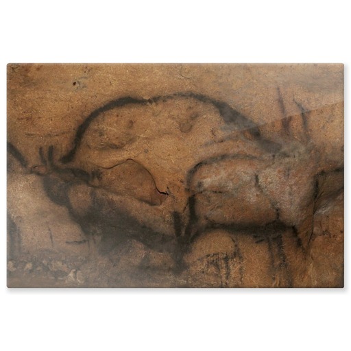 Grotte de Font-de-Gaume, bison (aluminium panels)