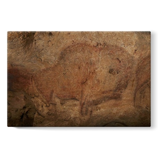 Grotte de Font-de-Gaume, bison (stretched canvas)