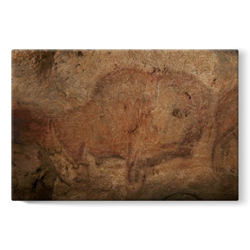 Grotte de Font-de-Gaume, bison (toiles sur châssis)