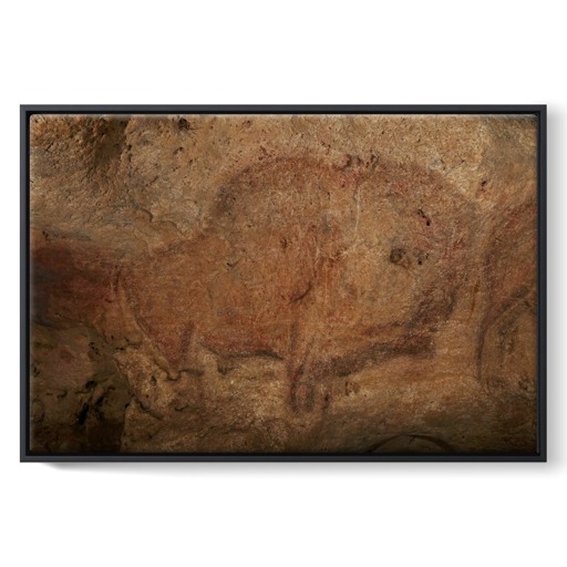 Grotte de Font-de-Gaume, bison (framed canvas)