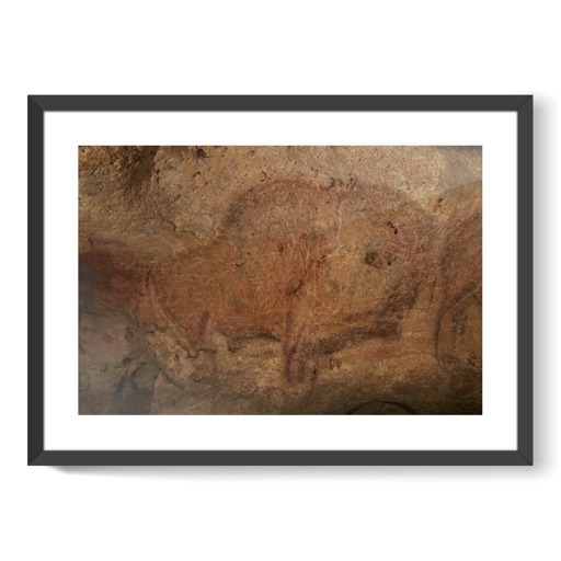 Grotte de Font-de-Gaume, bison (framed art prints)