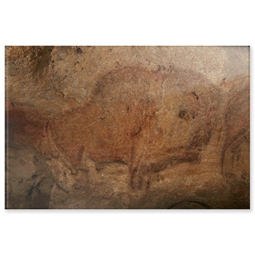 Grotte de Font-de-Gaume, bison (panneaux acryliques)