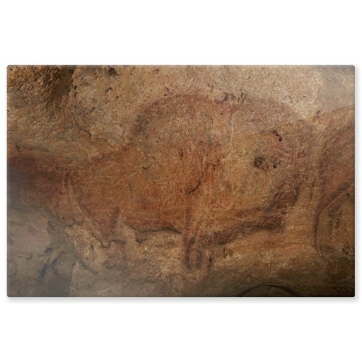 Grotte de Font-de-Gaume, bison (aluminium panels)