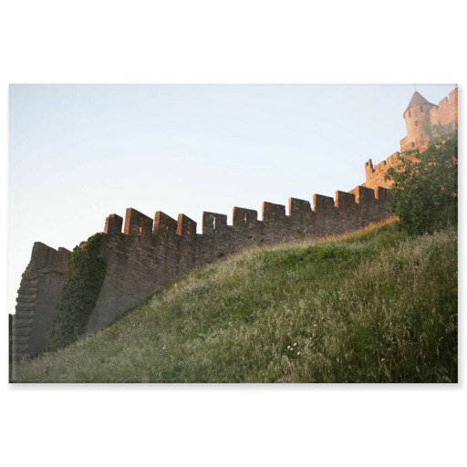 Cité de Carcassonne, front ouest, rampe de la barbacane (panneaux acryliques)