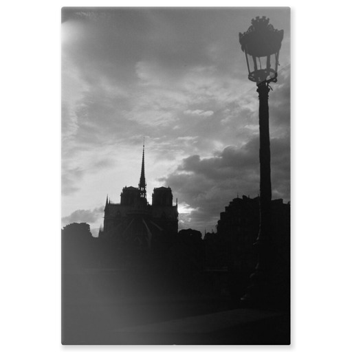 Coucher de soleil sur la cathédrale Notre-Dame de Paris (aluminium panels)