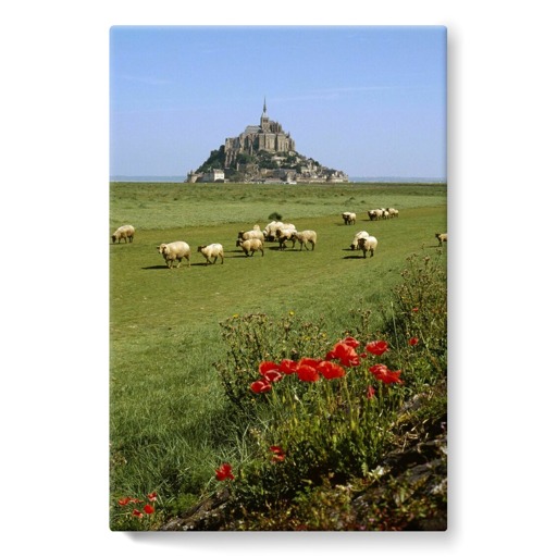 Mont-Saint-Michel et moutons sur les prés salés (stretched canvas)