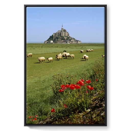 Mont-Saint-Michel et moutons sur les prés salés (toiles encadrées)
