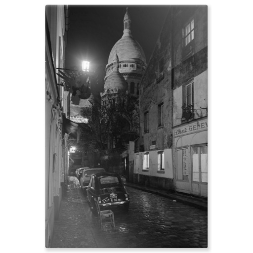 Basilique du Sacré-Coeur de Montmartre (aluminium panels)