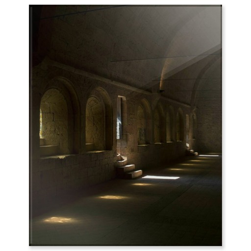 Abbaye du Thoronet, dortoir (acrylic panels)